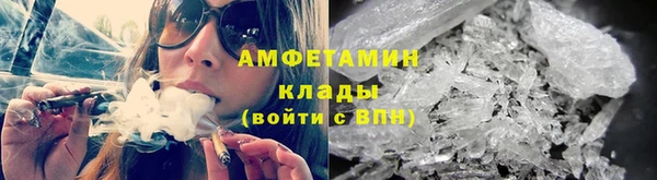 сатива Бронницы