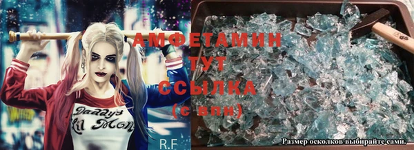 сатива Бронницы
