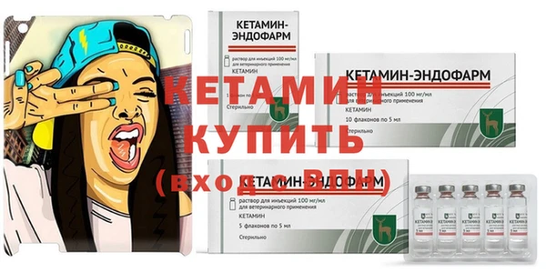 сатива Бронницы