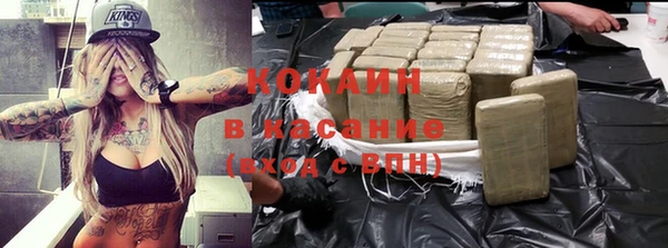 сатива Бронницы
