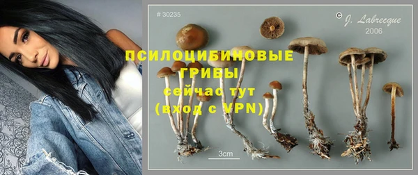 кокаин перу Бородино