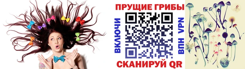Галлюциногенные грибы ЛСД  нарко площадка телеграм  Троицк 